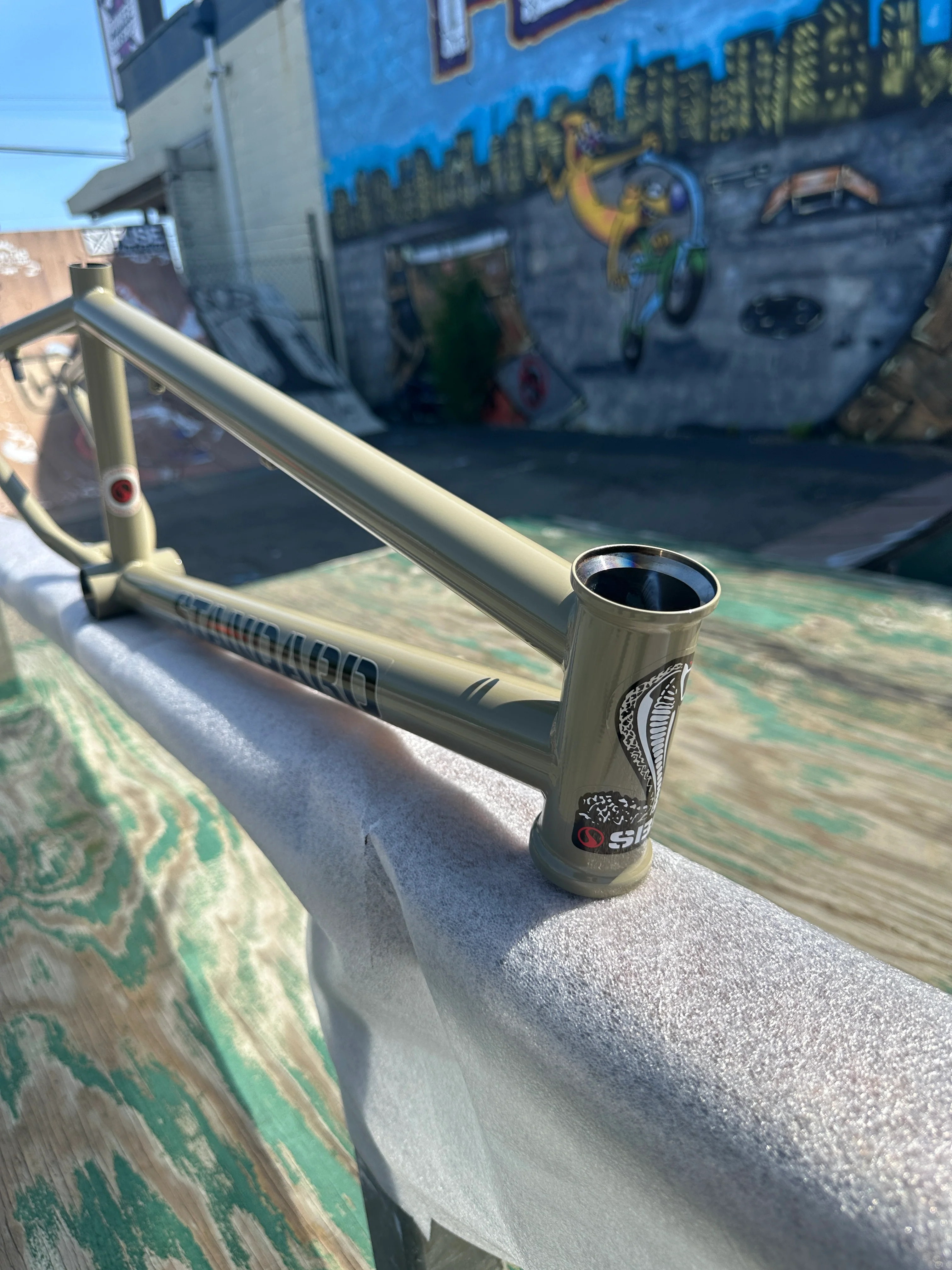 STANDARD BYKE  22" FRAME - Image 11